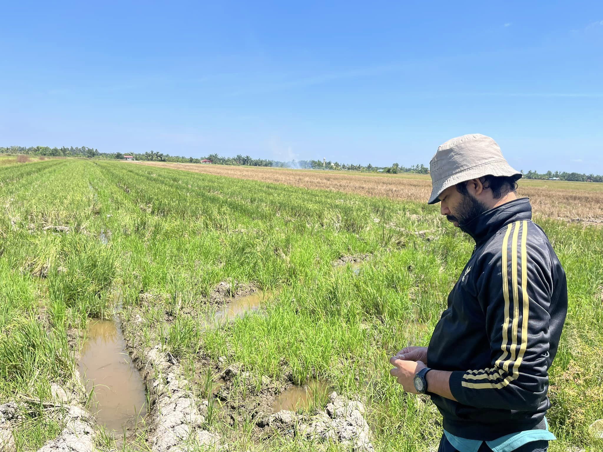 Permasalahan yang dihadapi oleh petani di kawasan Sungai Panjang, Sabak Bernam